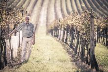Weingut Beck Bilder16-78817536 Weingut Beck Bilder16-78817536